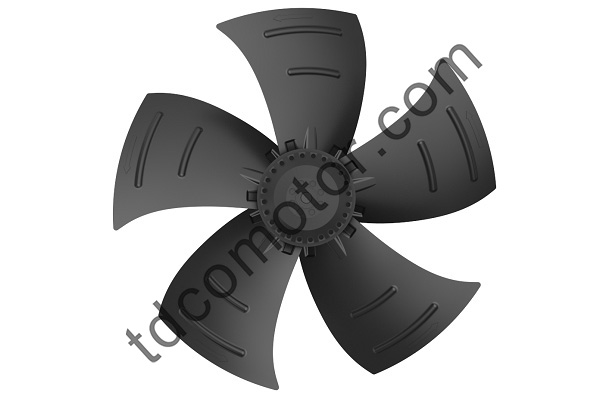 Characteres fans articulatio