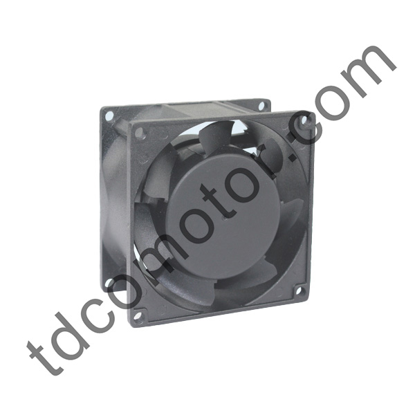 Ventilabrum White 80x80x38 (VIII)XXXVIII Axial AC ipsi YZ, supportantes Ball Ferens