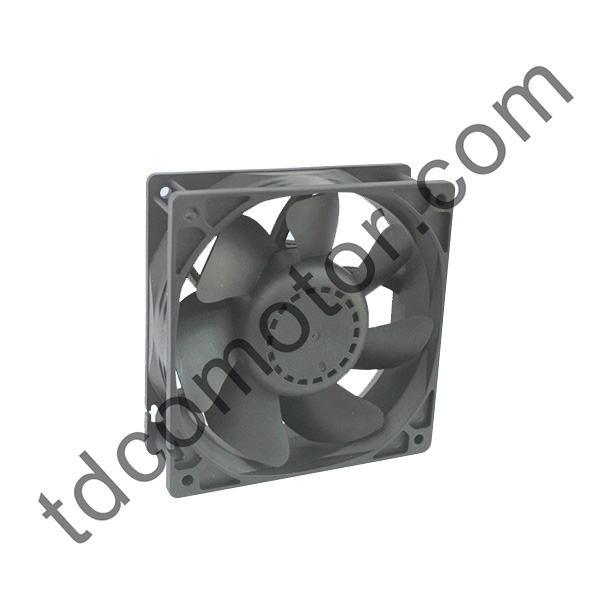 Ventilabrum I. Axial 120x120x38 (XII)XXXVIII ipsi YZ,